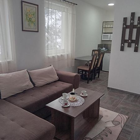Vila Mozart - Apartments & Studios Kopaonik Bagian luar foto